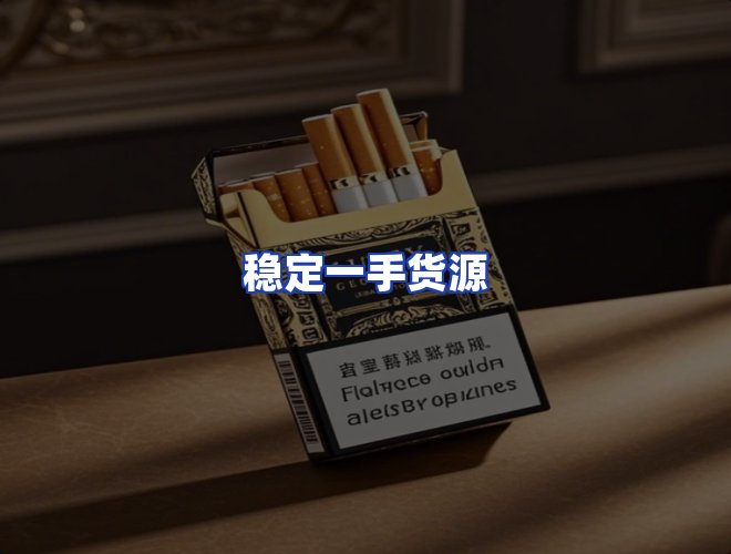 专业团队
